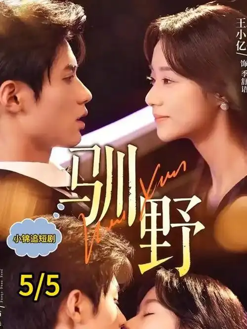 城市夜行 高清纪录片免费看